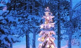 Новогодние приметы Новогодние приметы м