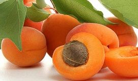 Абрикосовые маски для лица Абрикосовые маски для лица м