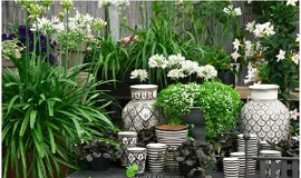 Как побороть хандру? Как побороть хандру м