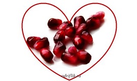 Масло гранатовых косточек — молодость зрелой кожи Масло гранатовых косточек-молодость зрелой кожи