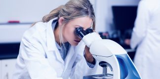 Для чего нужны молекулы АТФ в организме?