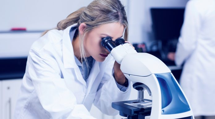 Для чего нужны молекулы АТФ в организме?