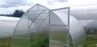 Какой парник Хабаровск пользуется популярностью