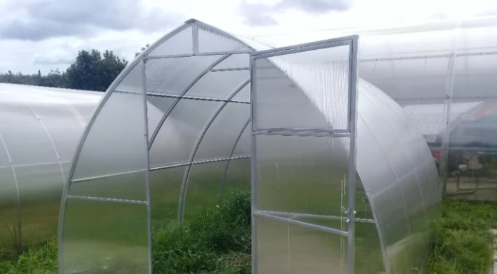 Какой парник Хабаровск пользуется популярностью