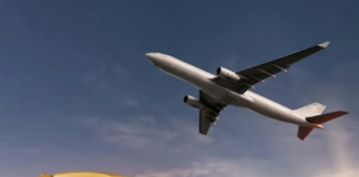 Что нужно знать о системах КАРГО доставки, и где найти такую службу в Казахстане