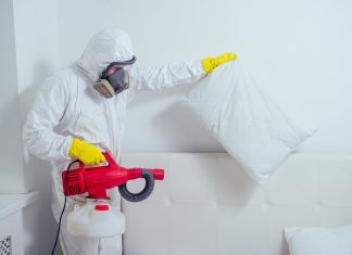 Профессиональные методы холодного и горячего тумана для борьбы с клопами: рекомендации