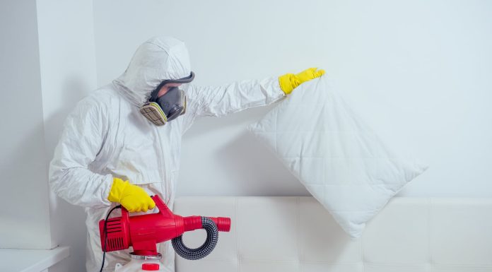 Профессиональные методы холодного и горячего тумана для борьбы с клопами: рекомендации