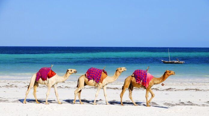 Достопримечательности Шарм-эль-Шейха: гид для любителей приключений